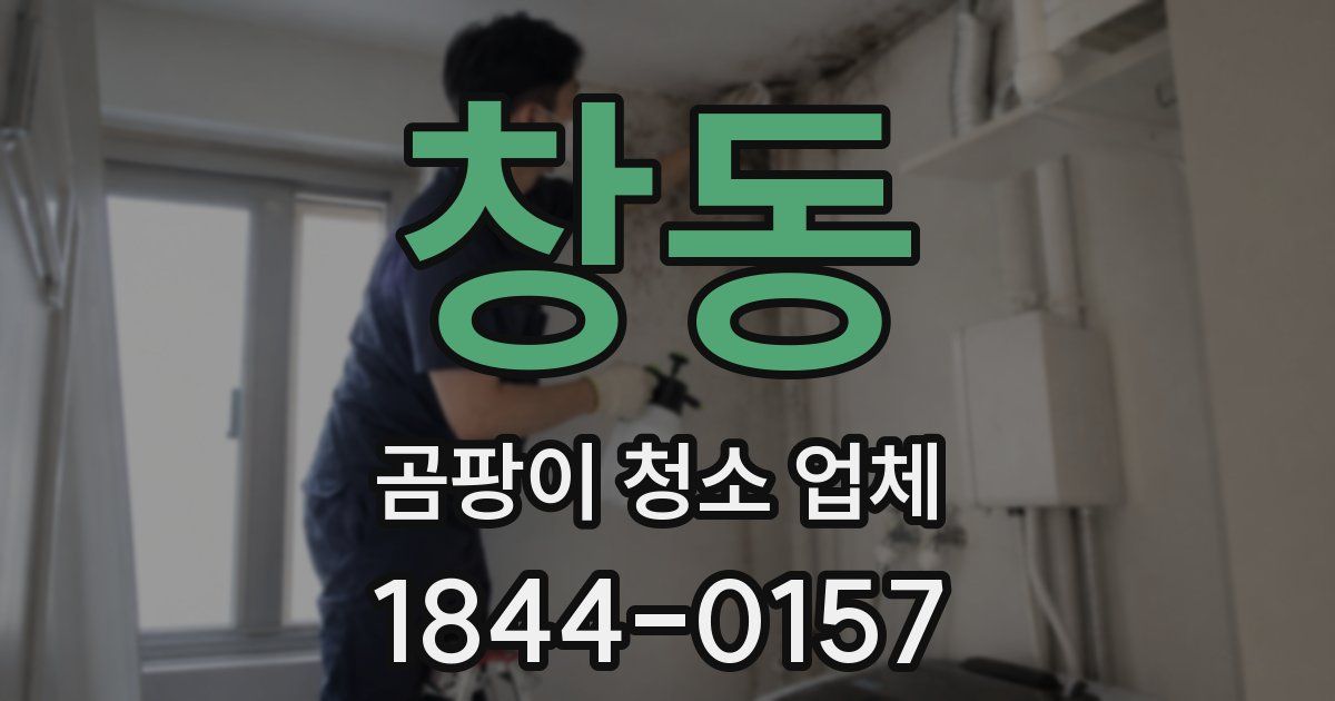 창동 곰팡이 청소 업체