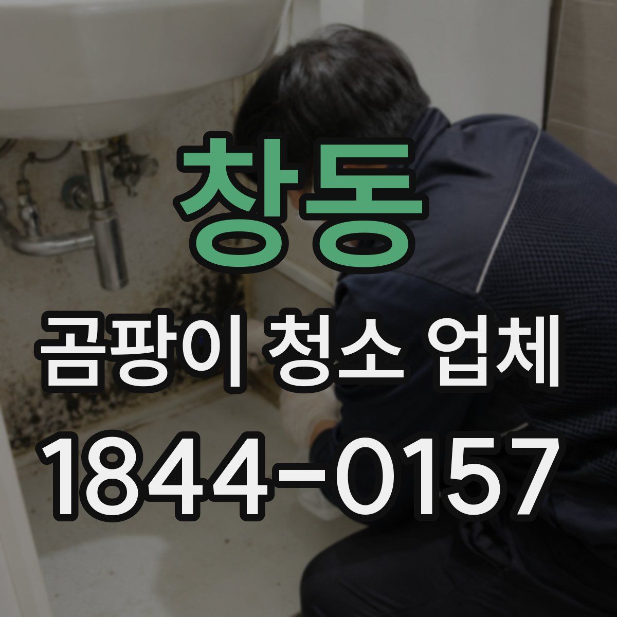 창동 곰팡이 청소 업체