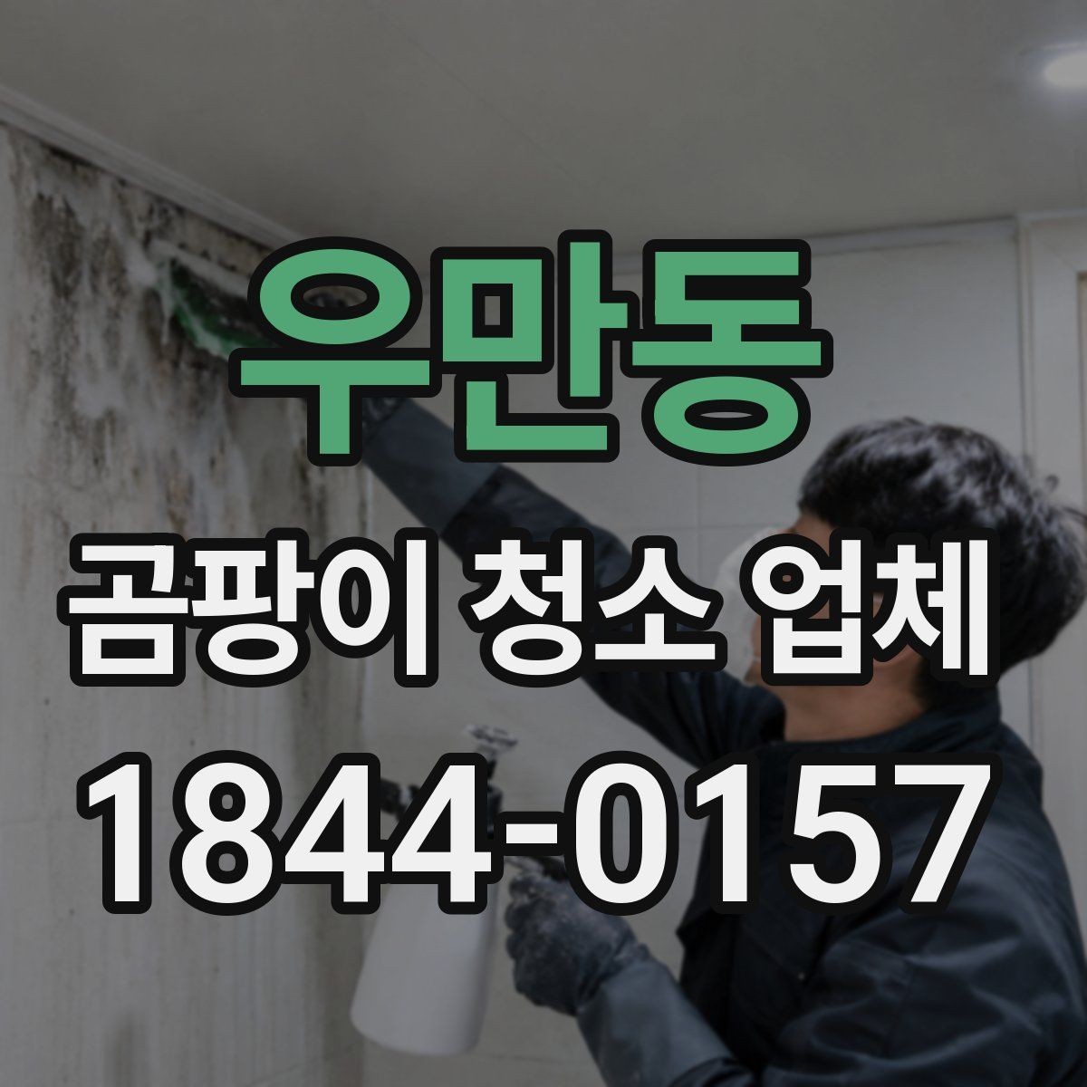 우만동 곰팡이 청소 업체 아이 방과 반려동물 공간 점검 포인트