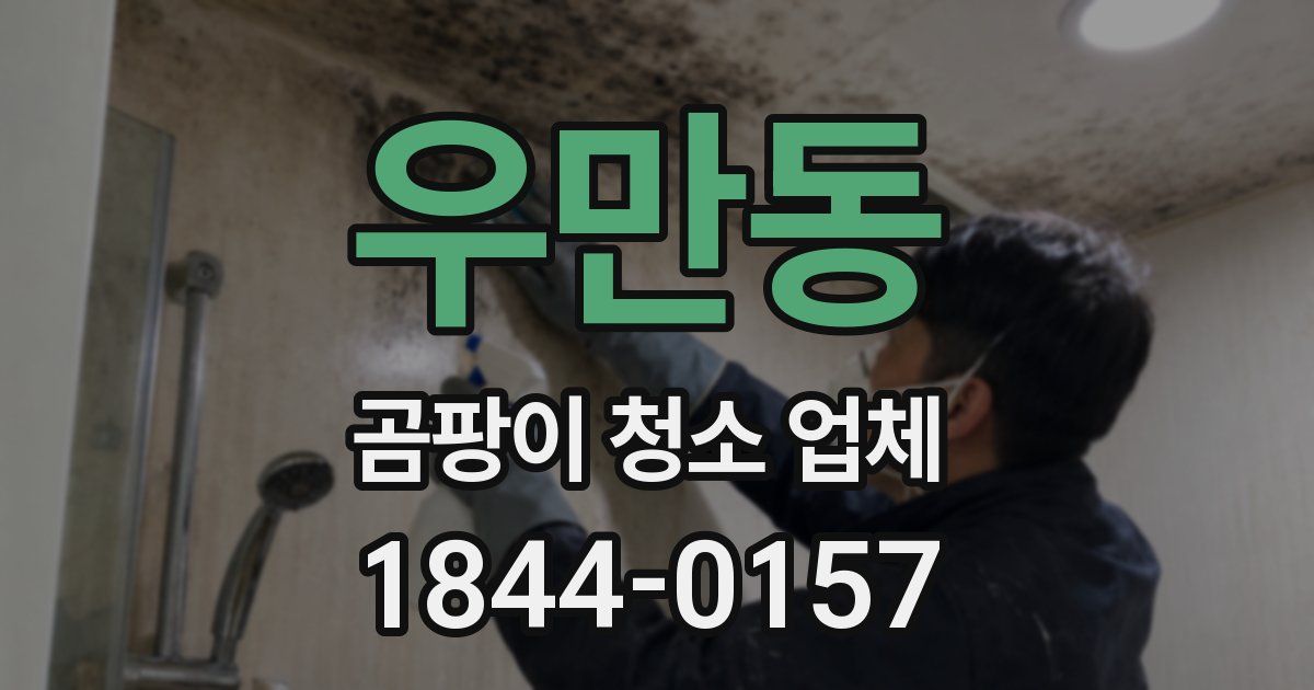 우만동 곰팡이 청소 업체