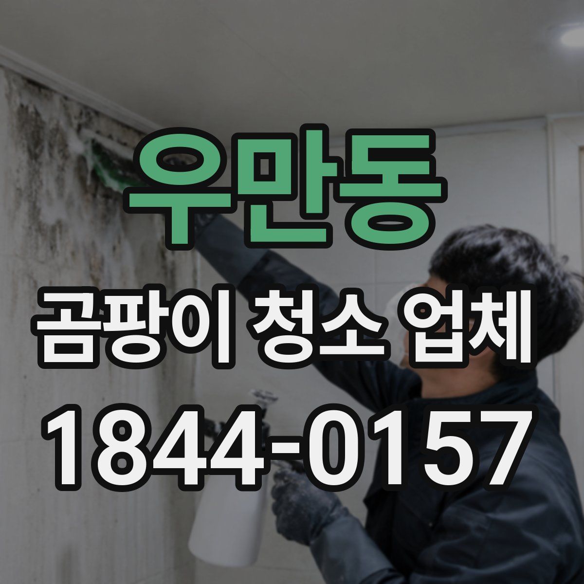 우만동 곰팡이 청소 업체