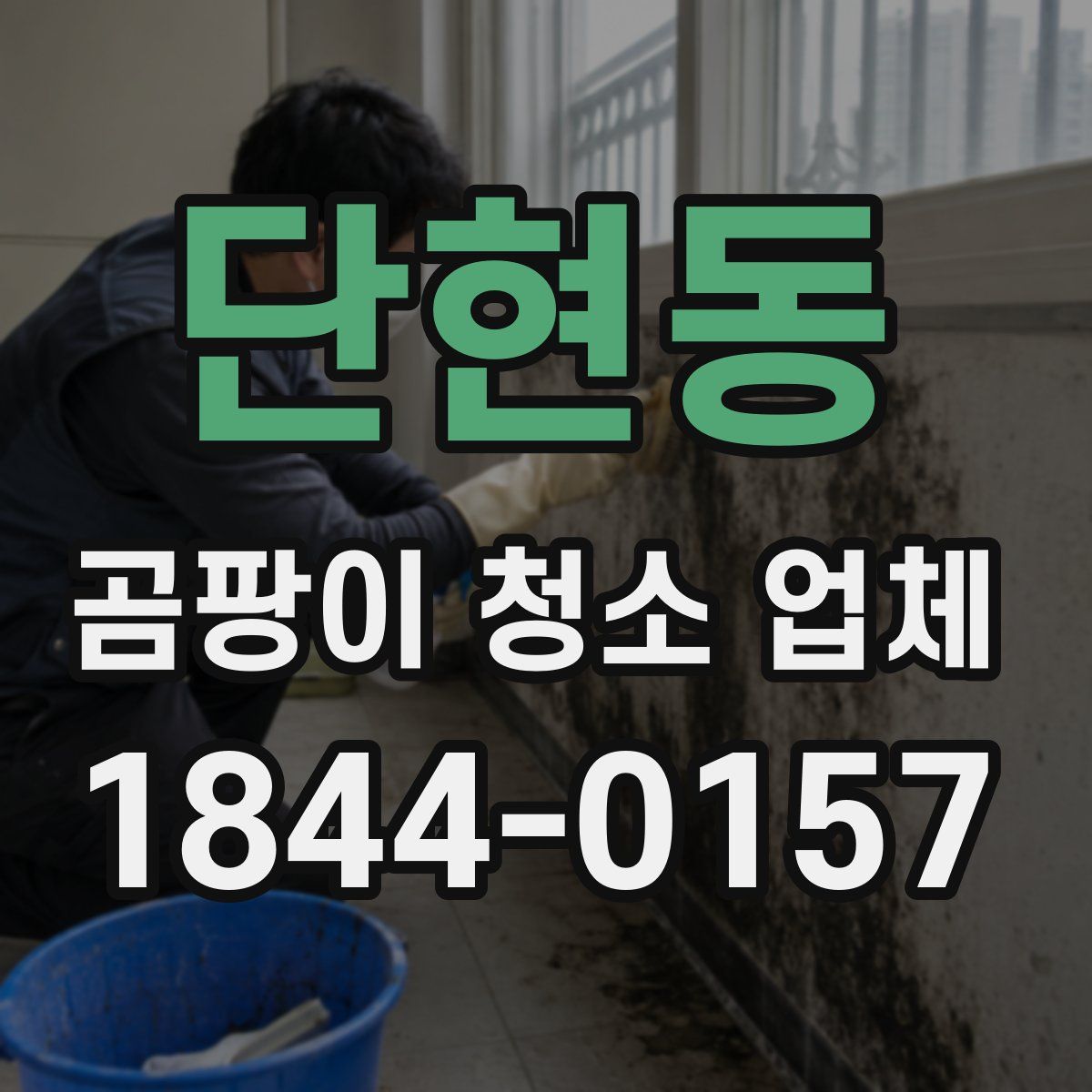 단현동 곰팡이 청소 업체