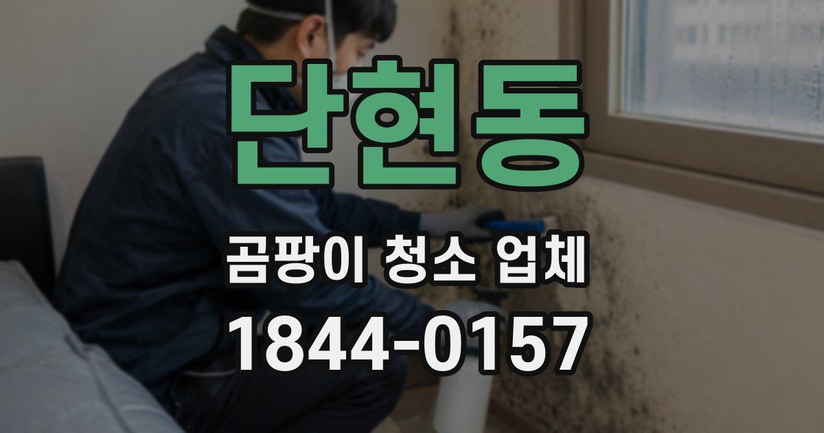 단현동 곰팡이 청소 업체