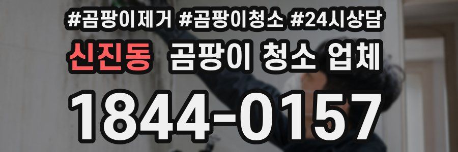신진동 곰팡이 청소 업체