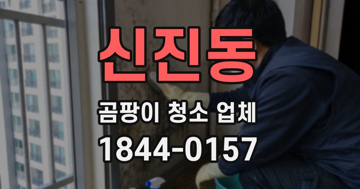 신진동 곰팡이 청소 업체