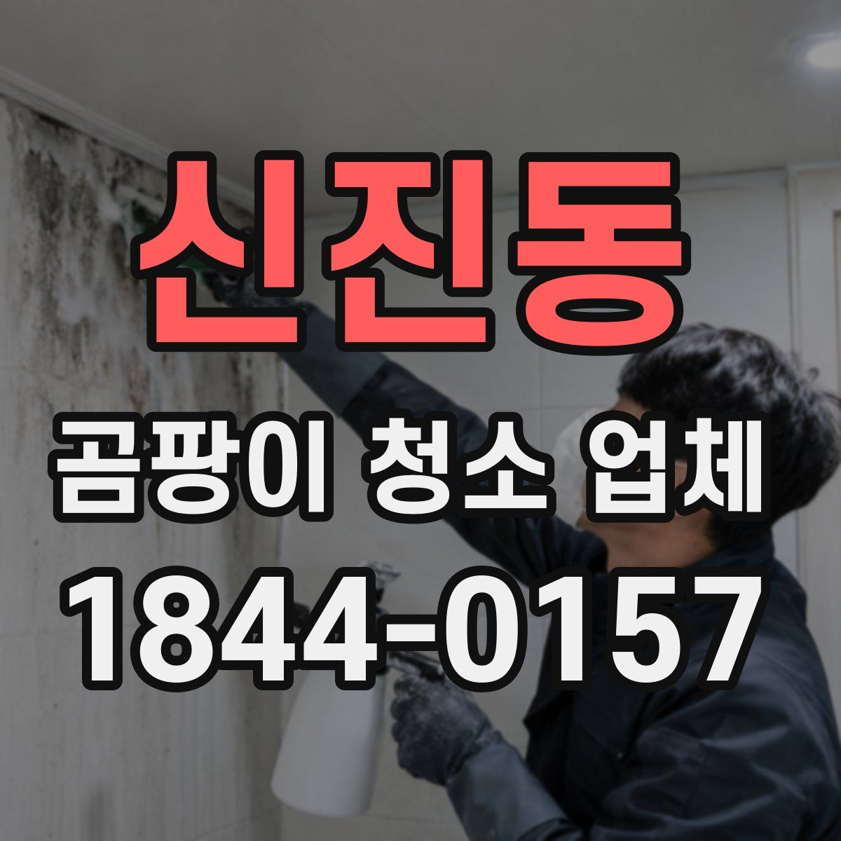 신진동 곰팡이 청소 업체