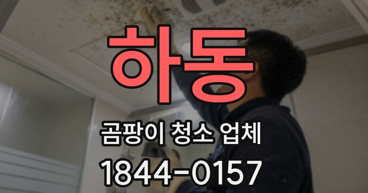 하동 곰팡이 청소 업체