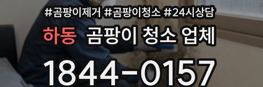 하동 곰팡이 청소 업체
