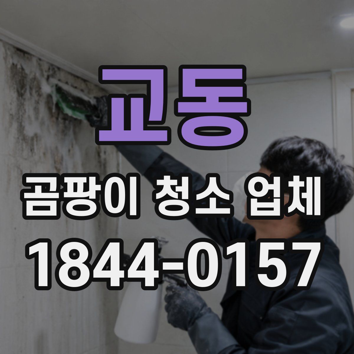 교동 곰팡이 청소 업체