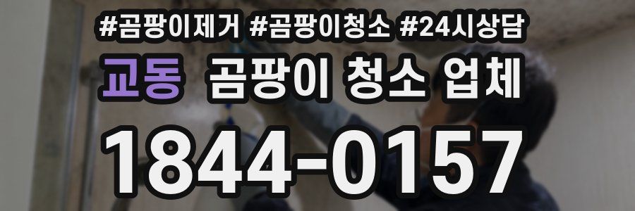 교동 곰팡이 청소 업체