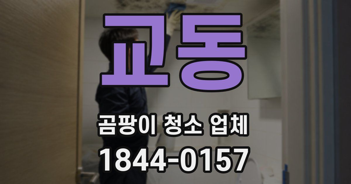 교동 곰팡이 청소 업체