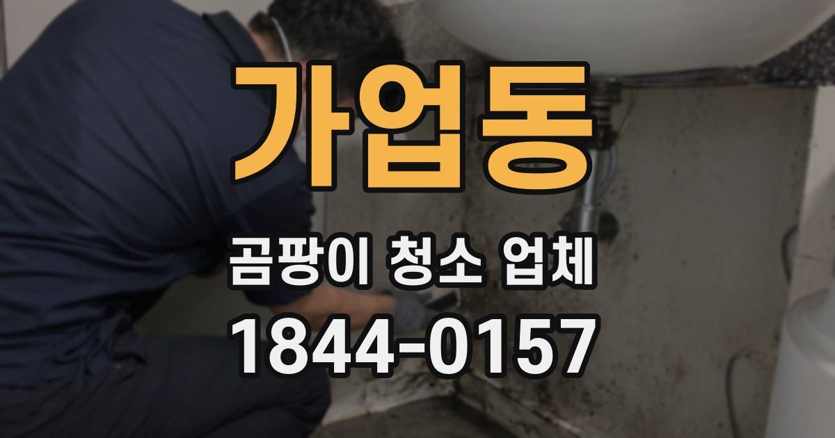 가업동 곰팡이 청소 업체