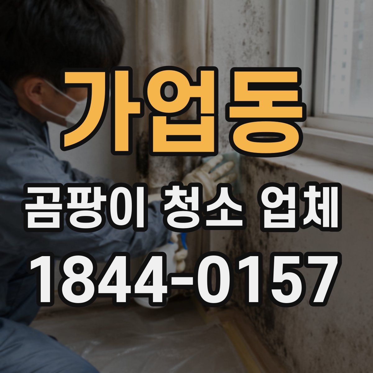 가업동 곰팡이 청소 업체