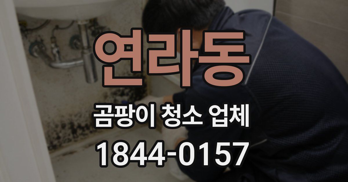 연라동 곰팡이 청소 업체