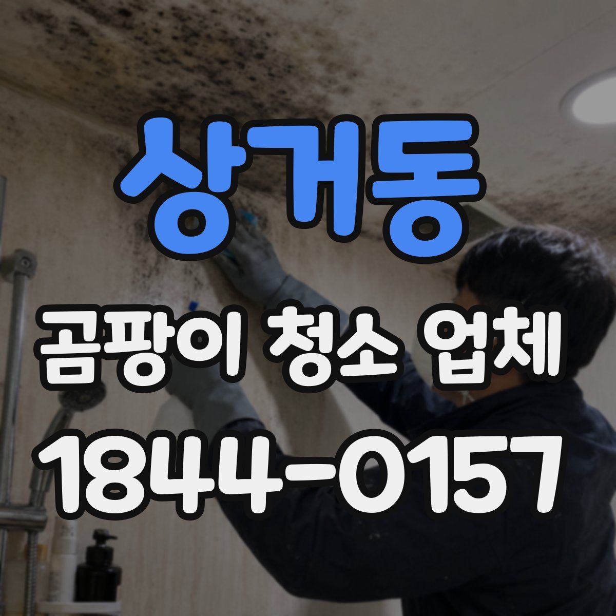 상거동 곰팡이 청소 업체
