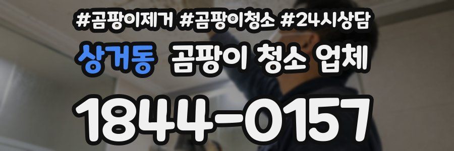 상거동 곰팡이 청소 업체
