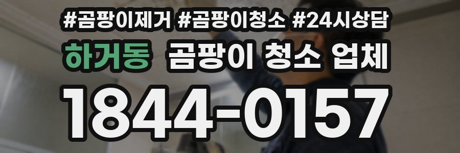 하거동 곰팡이 청소 업체