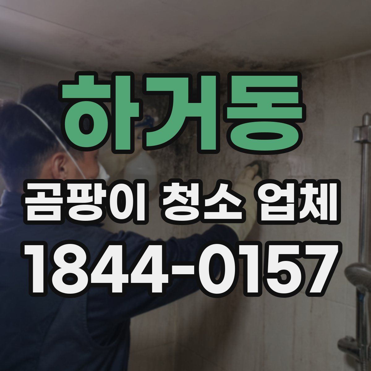 하거동 곰팡이 청소 업체