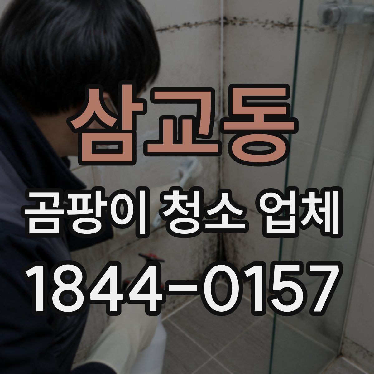 삼교동 곰팡이 청소 업체 소파와 커튼 오염이 심할 때 판단 기준