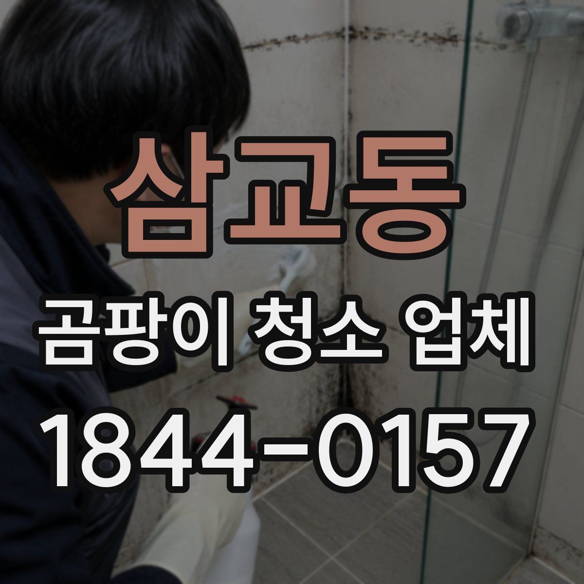 삼교동 곰팡이 청소 업체