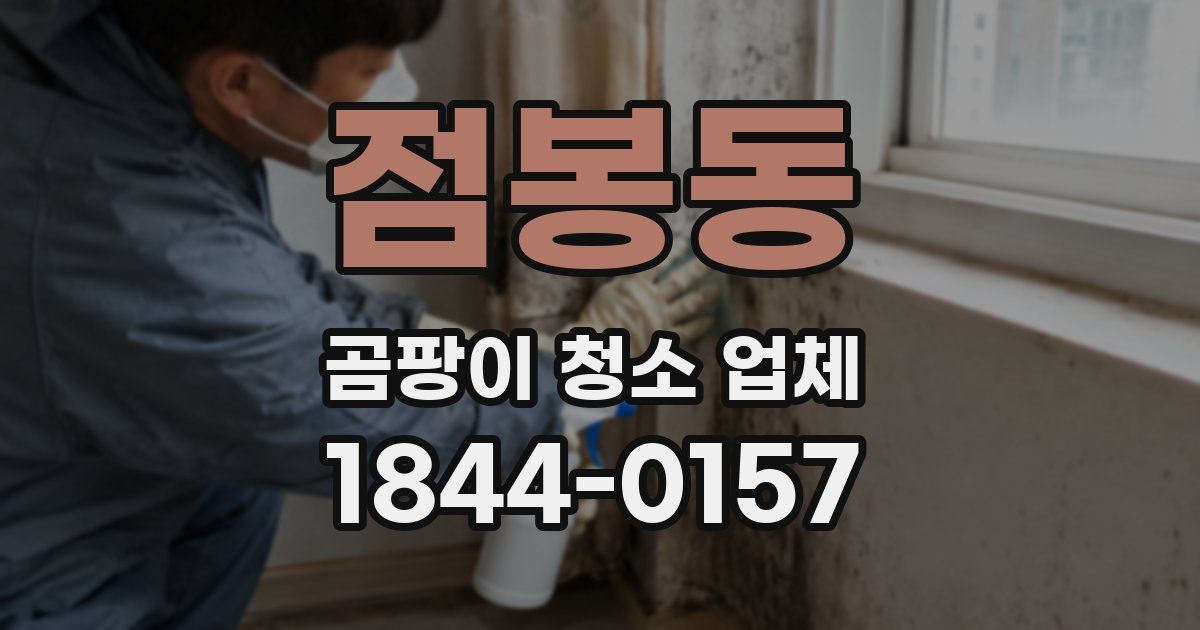 점봉동 곰팡이 청소 업체