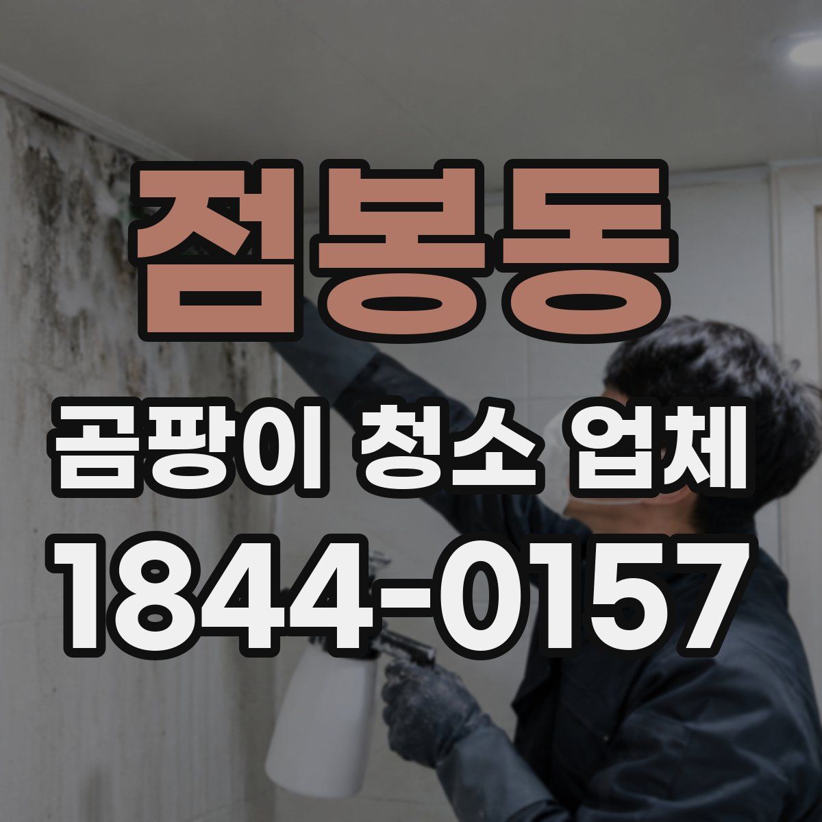 점봉동 곰팡이 청소 업체