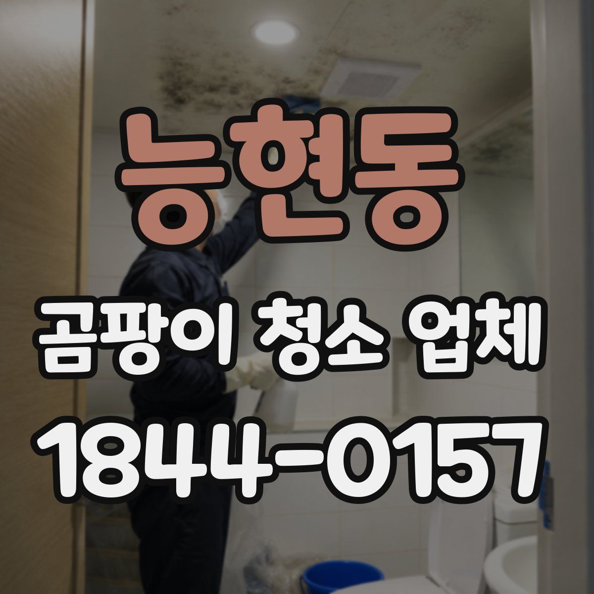 능현동 곰팡이 청소 업체