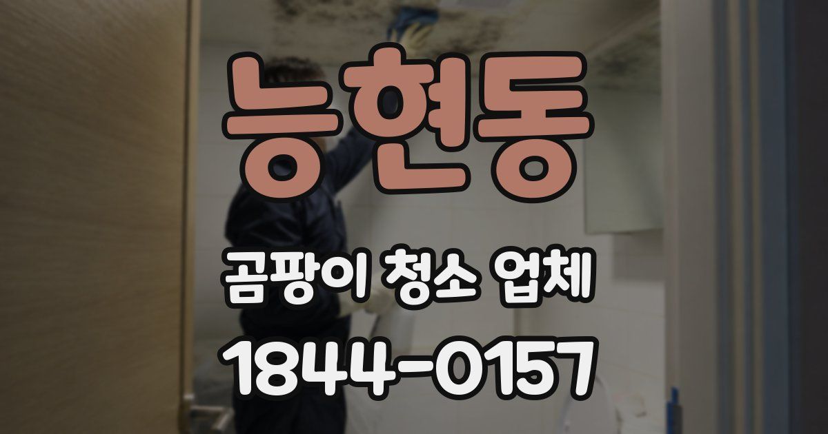 능현동 곰팡이 청소 업체