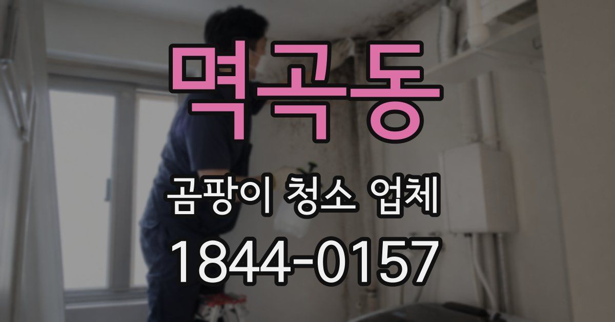 멱곡동 곰팡이 청소 업체