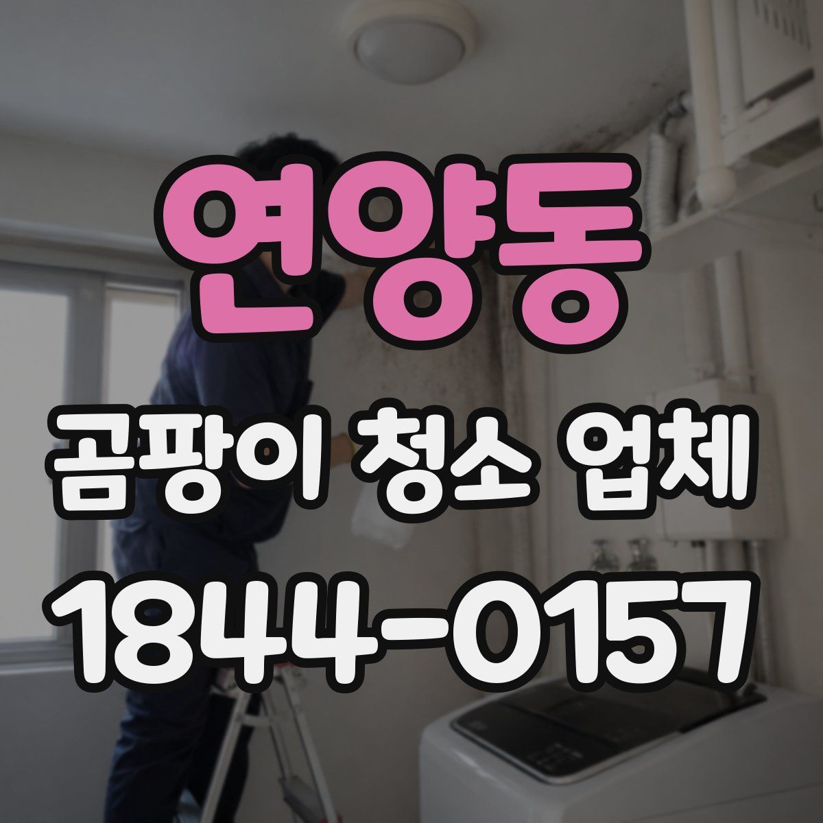 연양동 곰팡이 청소 업체