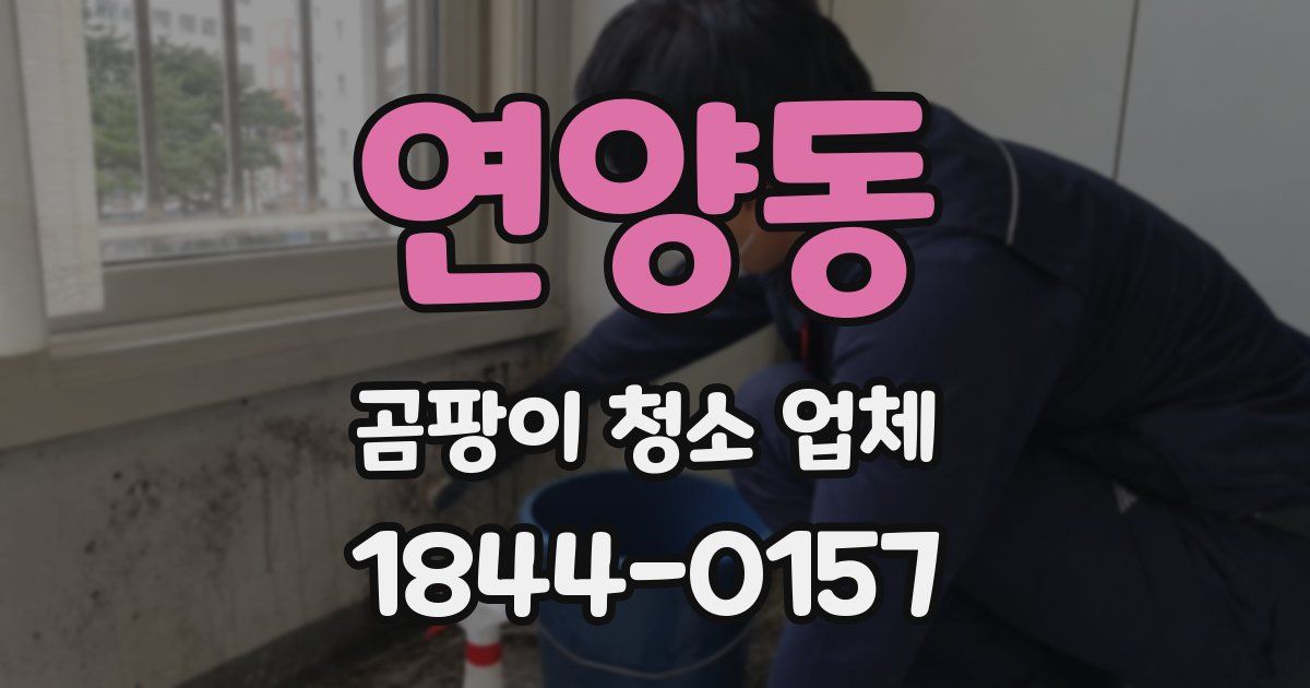 연양동 곰팡이 청소 업체