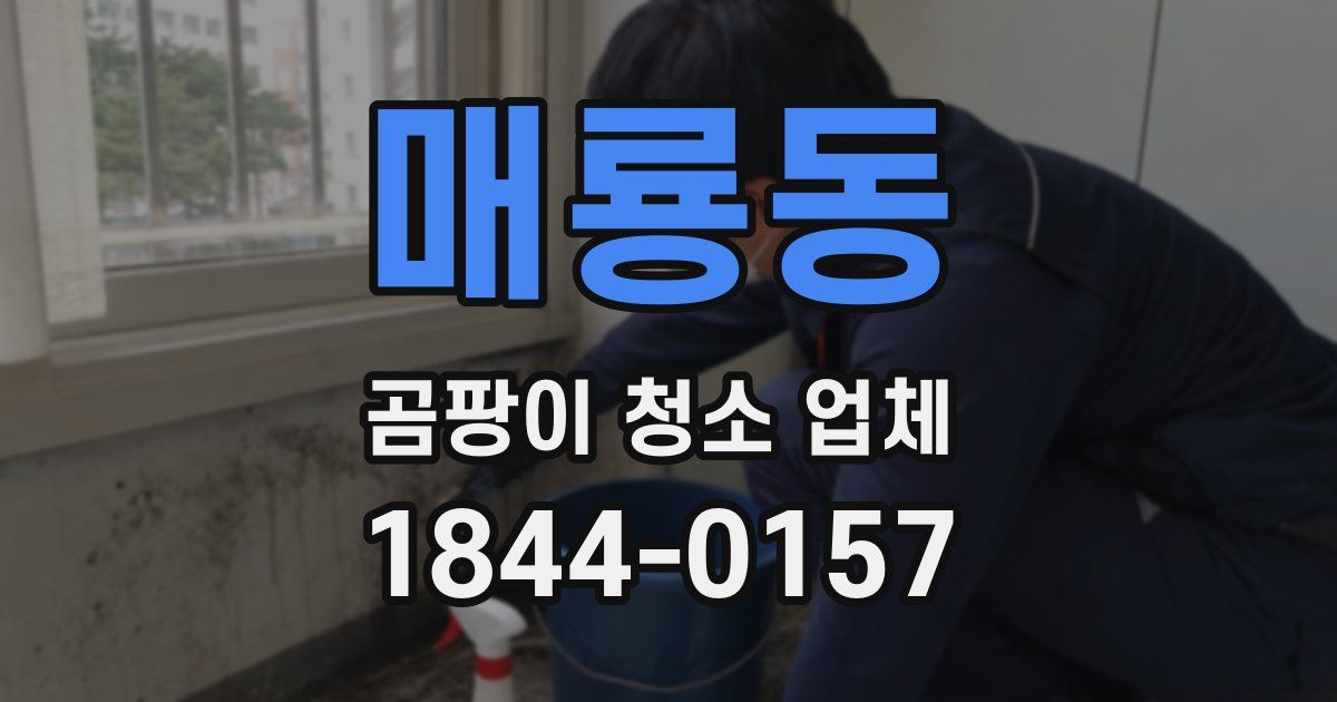 매룡동 곰팡이 청소 업체
