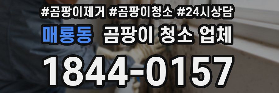 매룡동 곰팡이 청소 업체