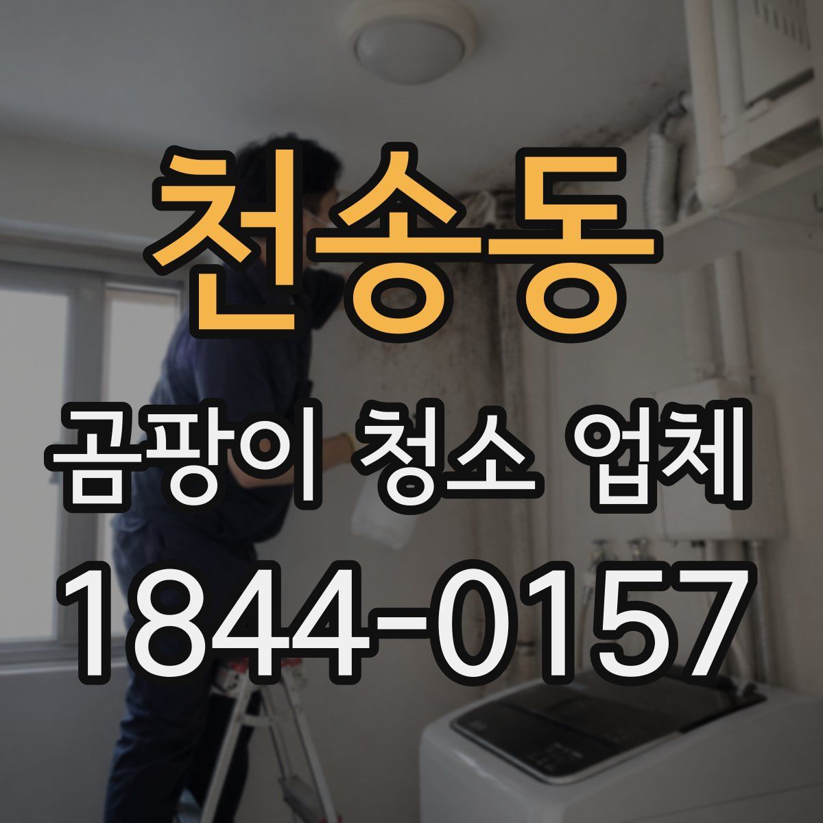 천송동 곰팡이 청소 업체