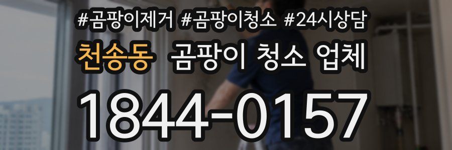천송동 곰팡이 청소 업체
