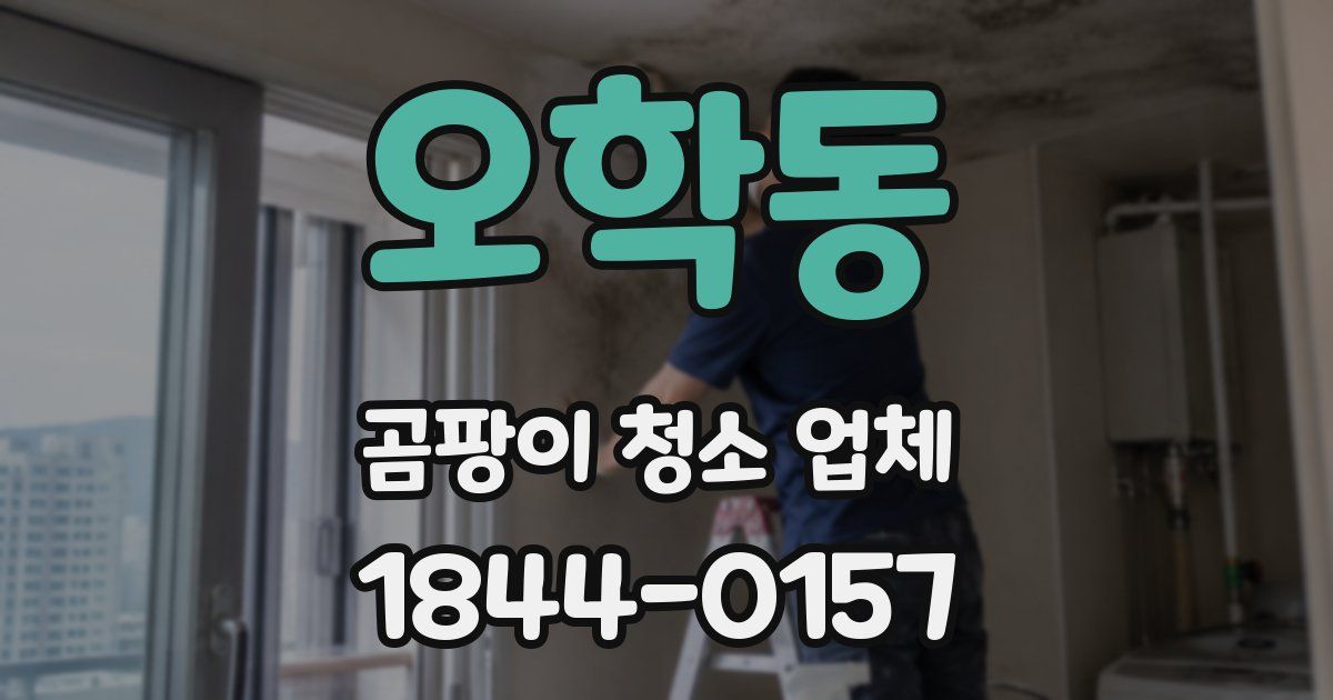 오학동 곰팡이 청소 업체