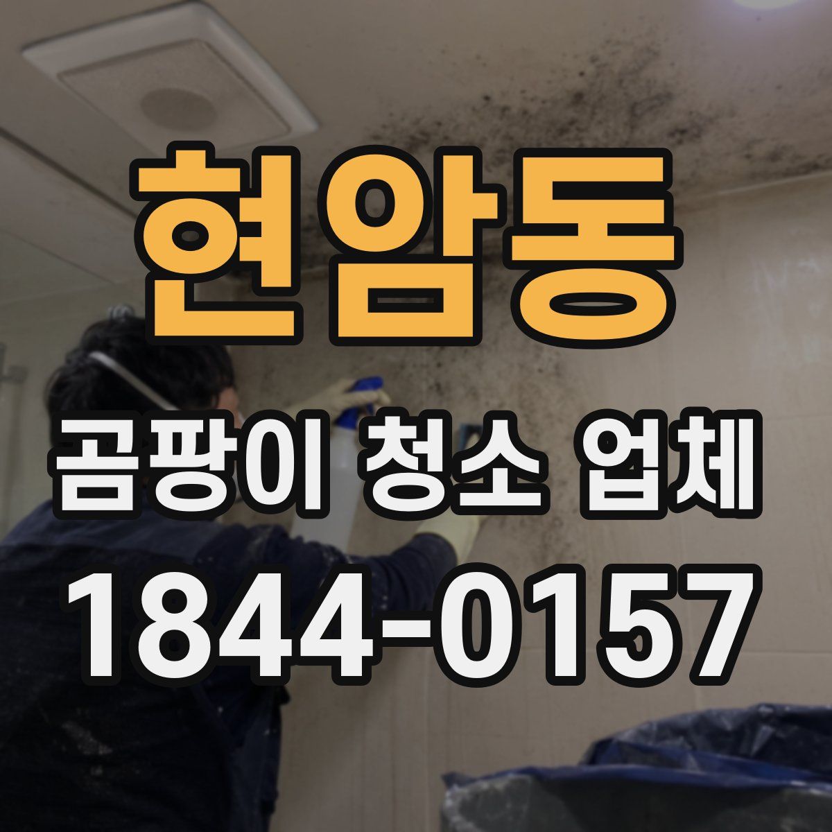 현암동 곰팡이 청소 업체