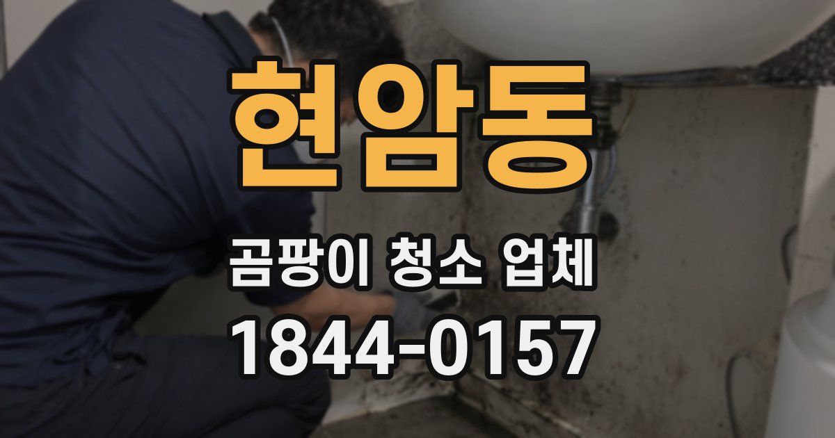 현암동 곰팡이 청소 업체