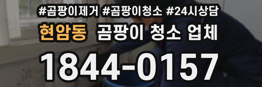 현암동 곰팡이 청소 업체
