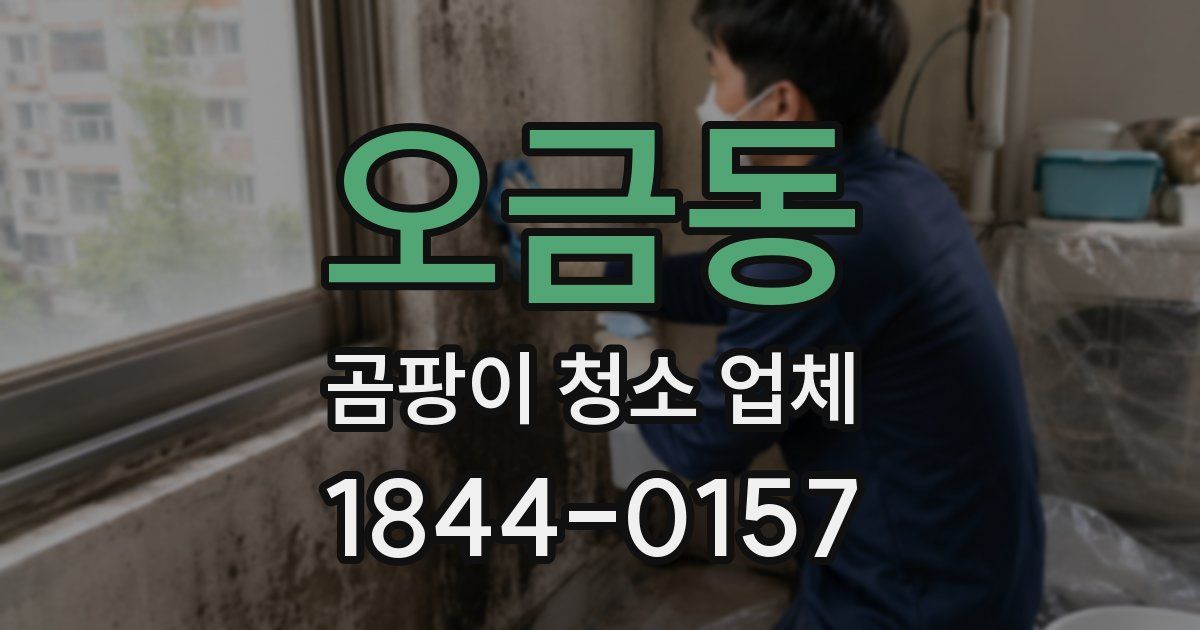 오금동 곰팡이 청소 업체