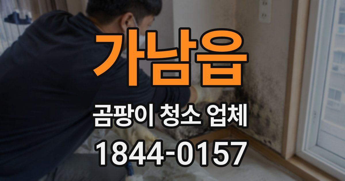 가남읍 곰팡이 청소 업체