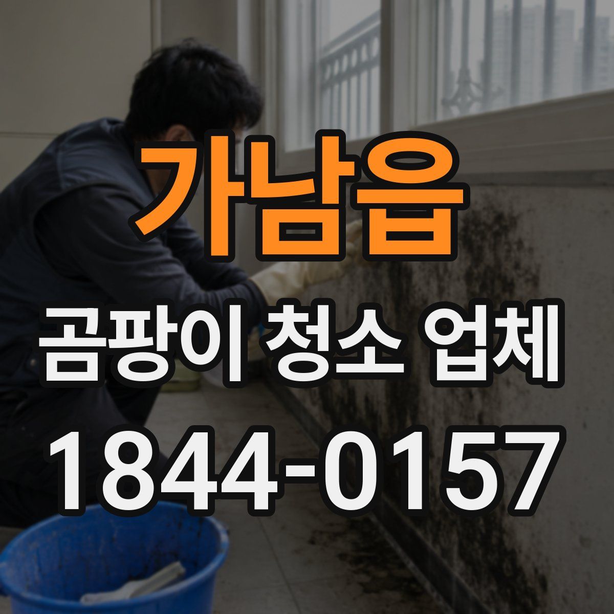 가남읍 곰팡이 청소 업체