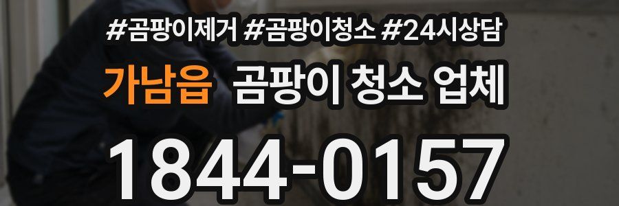 가남읍 곰팡이 청소 업체