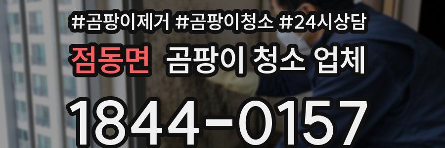 점동면 곰팡이 청소 업체