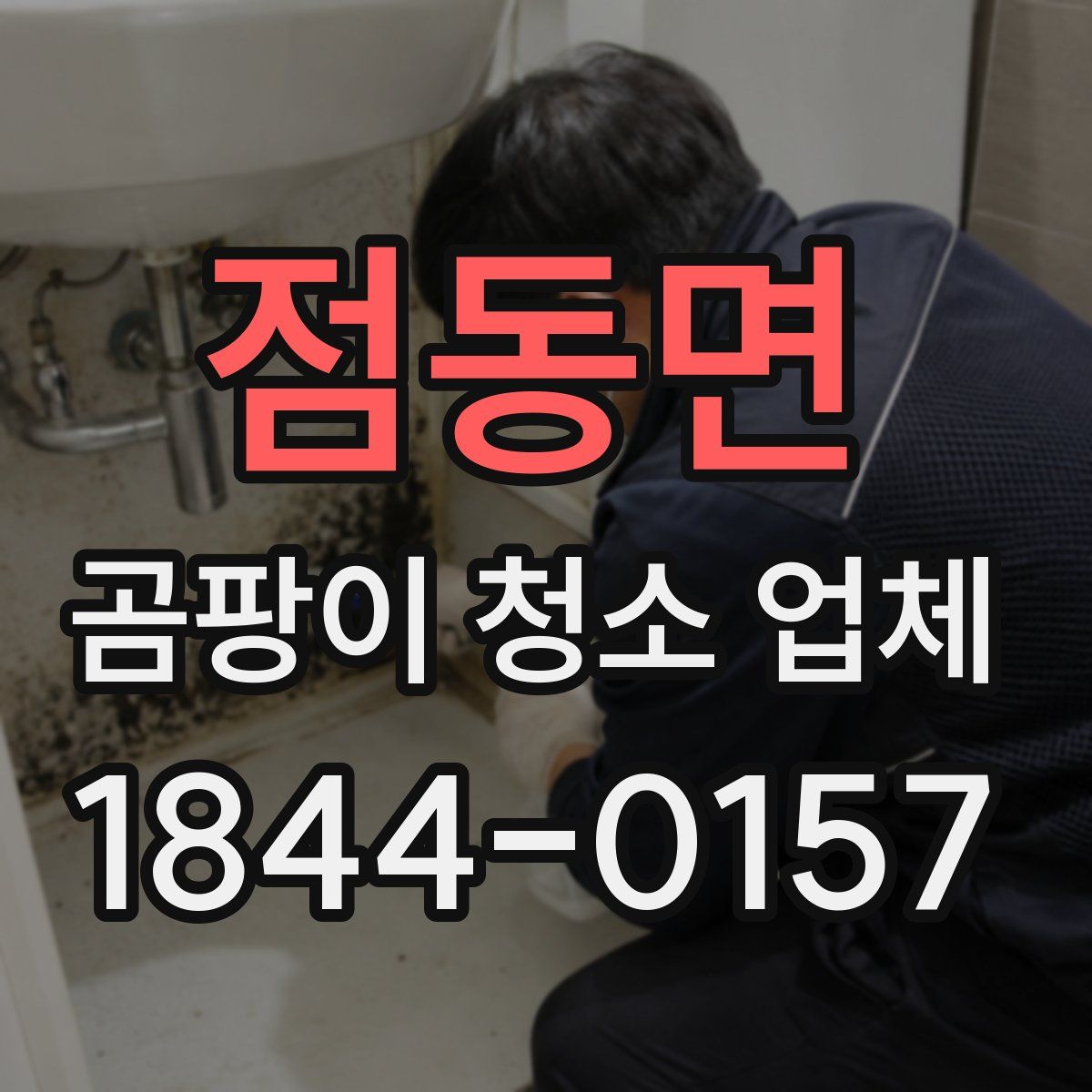점동면 곰팡이 청소 업체