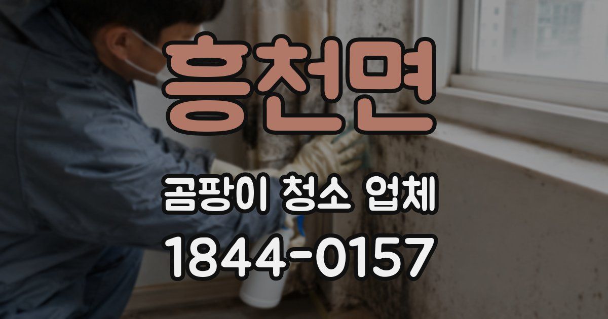 흥천면 곰팡이 청소 업체
