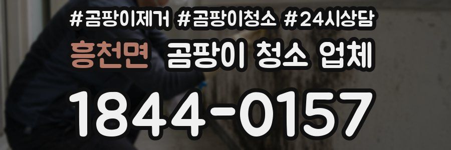흥천면 곰팡이 청소 업체
