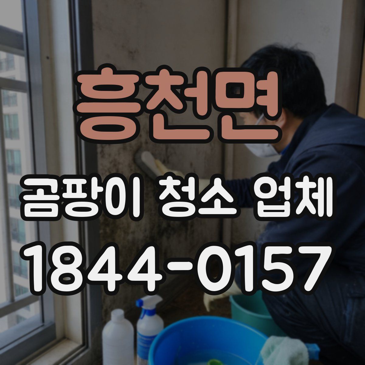 흥천면 곰팡이 청소 업체