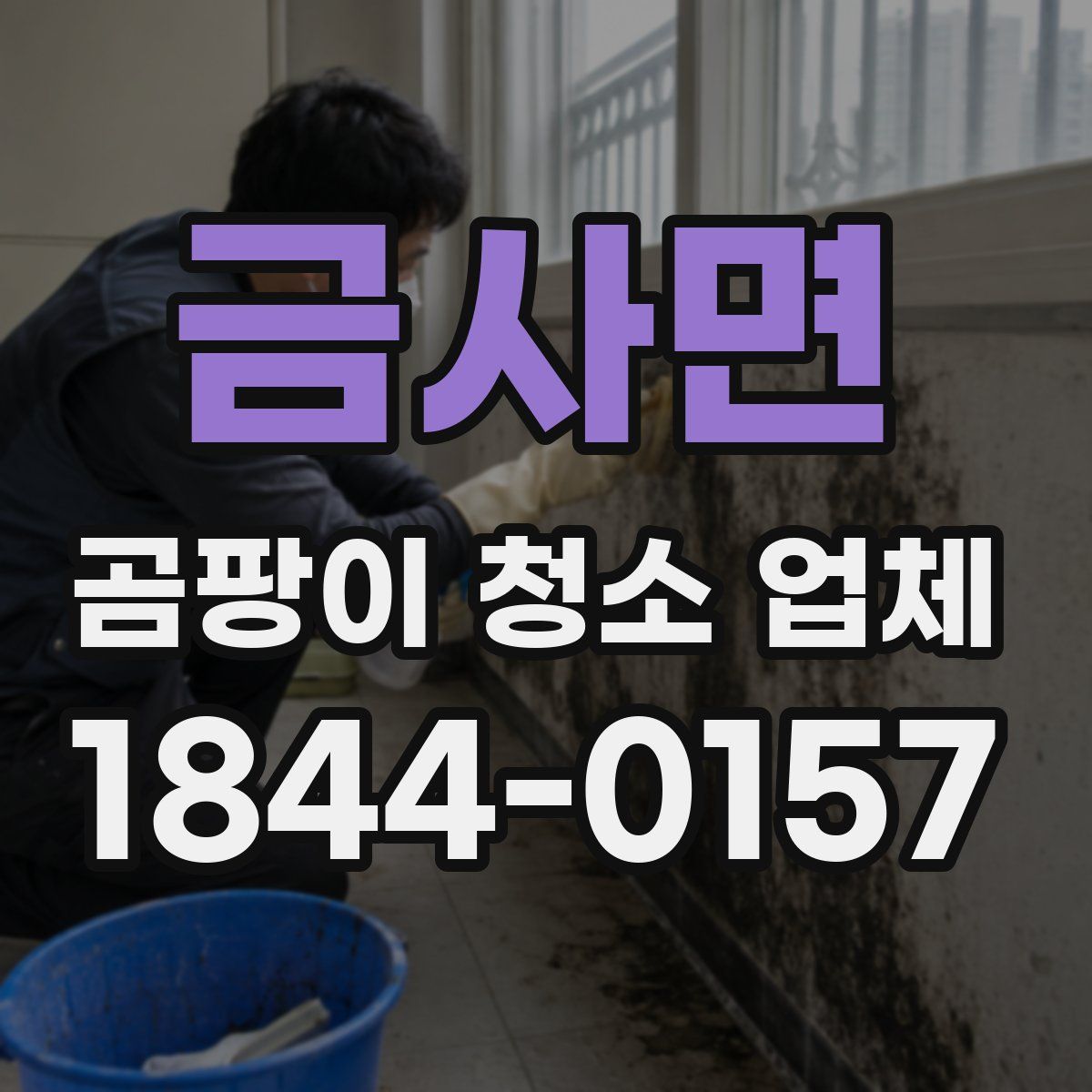 금사면 곰팡이 청소 업체