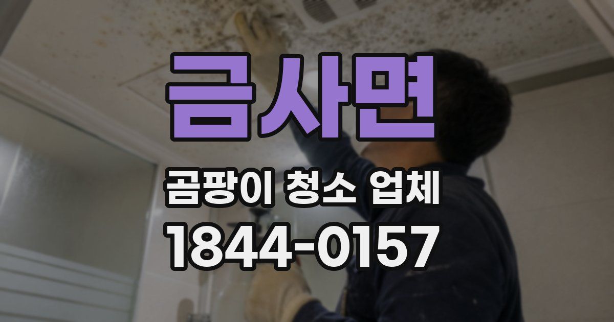 금사면 곰팡이 청소 업체